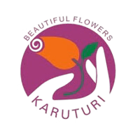 Sher Karuturi