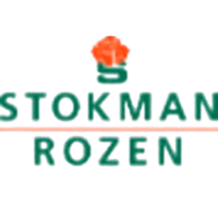 Stokman Rozen